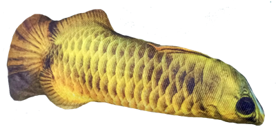 Игрушка для кошек с мятой «Желтый карп» (CT2304104-5) - фото 87945