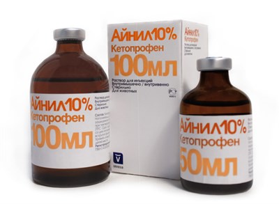 Айнил 10% 100мл - фото 94172