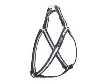 Шлейки регулируемые Shine M  30-55/1.5cm Черные - фото 94458