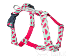 Шлейки регулируемые Grand BeHappy L 50-75/2,5cm Арбуз - фото 94557