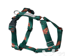 Шлейки регулируемые Grand BeHappy L 50-75/2,5cm Джунгли - фото 94558