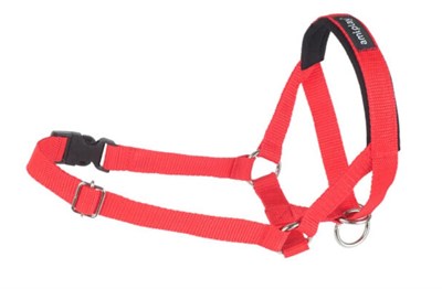 Недоуздок Basic L N4/2cm Labrador Красный - фото 95792