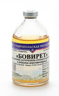Вакцина против пастереллеза КРС и буйволов (20 доз) Бовирет - фото 95948