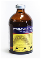 Мультивит+Минералы 100 мл