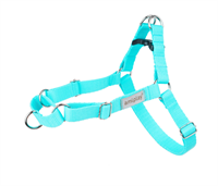 Шлейки Samba Guard М 35-55/2cm Бирюзовый