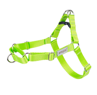 Шлейки Samba Guard L 50-75/2.5cm Зеленый