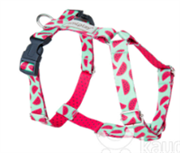 Шлейки регулируемые Grand BeHappy L 50-75/2,5cm Арбуз