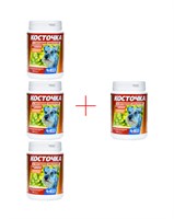 Косточка ЯНТАРНАЯ КИСЛОТА добавка минерально-витаминная (КЯК) №100 (3+1) АКЦИЯ