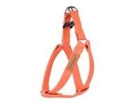 Шлейки регулируемые Cotton L 40-75/2,5cm Оранжевые