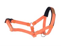 Недоуздок Сotton S Оранжевый 25-41/1,5cm