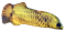 Игрушка для кошек с мятой «Желтый карп» (CT2304104-5) - фото 87945