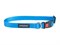 Ошейник регулируемый с блокировкой Basic L 35-50/2cm Голубой - фото 91459